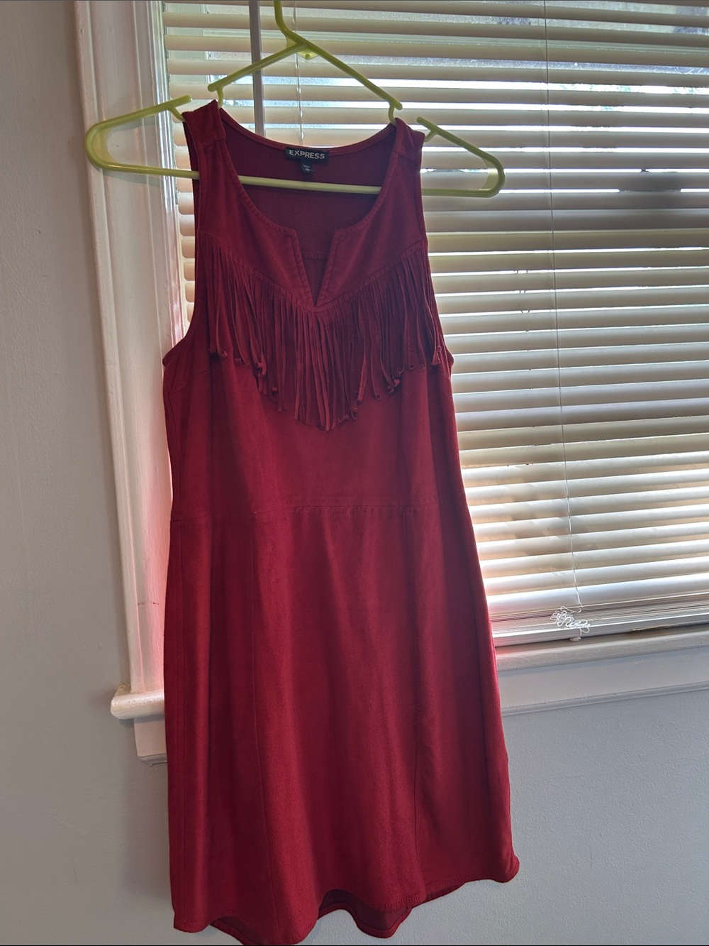 Express Rust Suede Sleeveless Fringe Mini Dress
